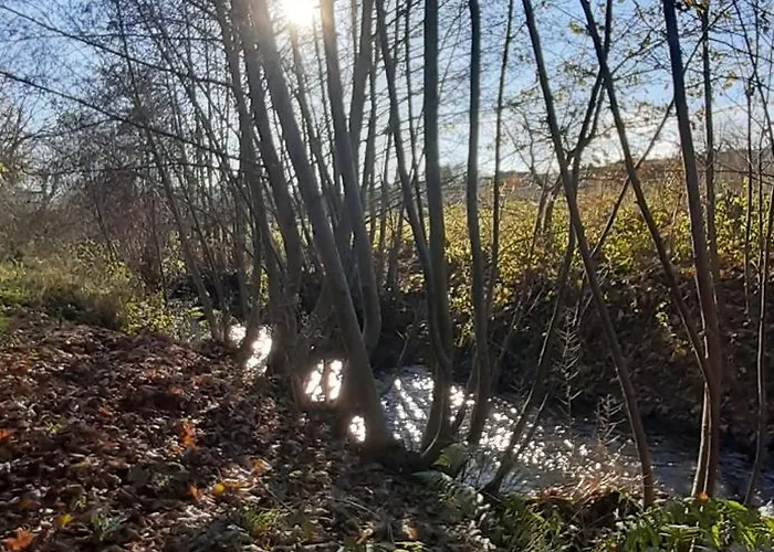 Haus Am Bach 公寓 *