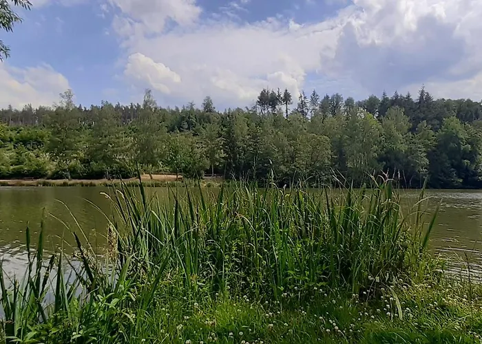 公寓 Haus Am Bach Miehlen